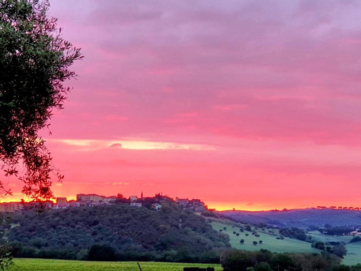 Residenza Santa Maria In Borraccia Bed and Breakfast Magliano in Toscana Εξωτερικό φωτογραφία